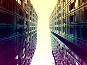 米兰体育app下载安装-埃及队未来：借鉴世界先进经验，完善本土发展体系，埃及国家队阵容状况  第2张